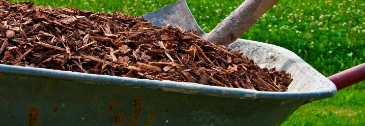 Schubkarre voll mit Rindenmulch und Spaten